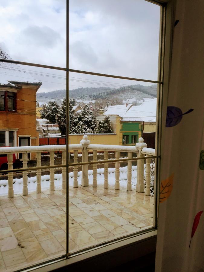 Pensiunea Puiu Popa Кодлеа Екстериор снимка