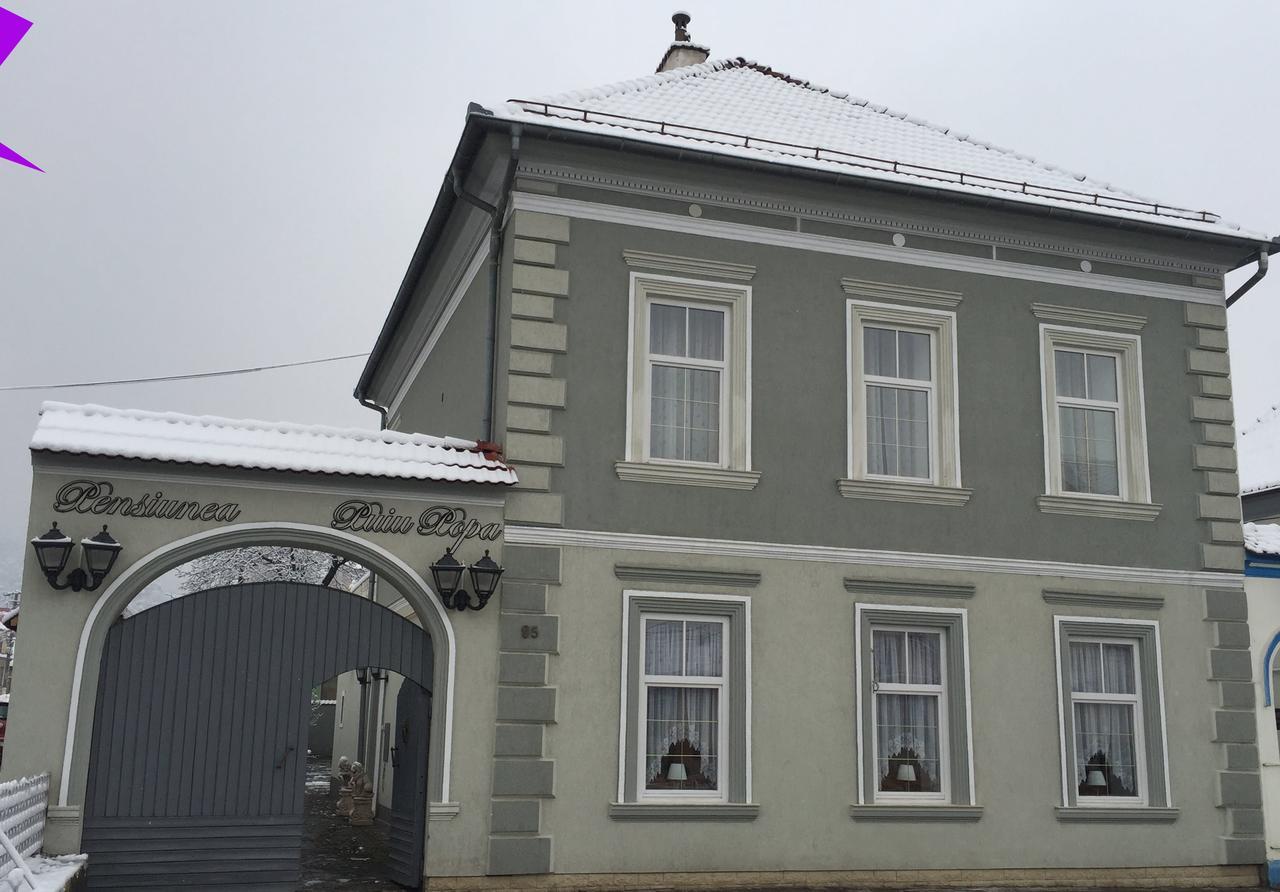 Pensiunea Puiu Popa Кодлеа Екстериор снимка