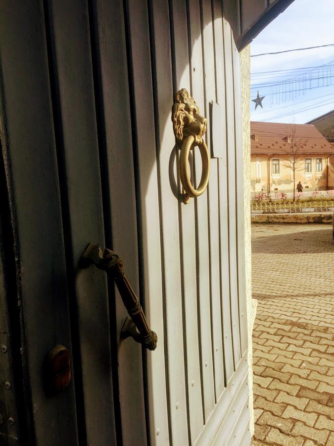 Pensiunea Puiu Popa Кодлеа Екстериор снимка